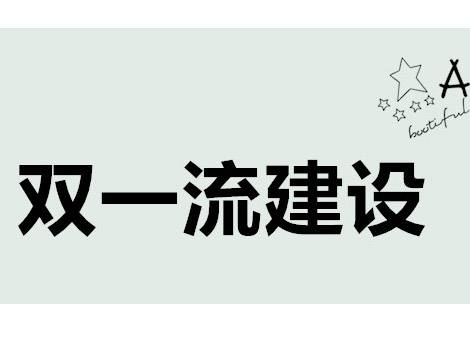 雙一流建設(shè)：優(yōu)先發(fā)展少數(shù)實(shí)力較強(qiáng)高校和學(xué)科